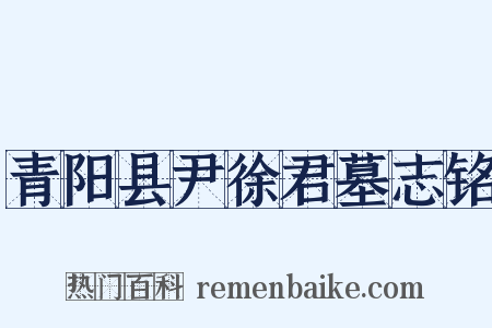 青阳县尹徐君墓志铭是什么意思的图片